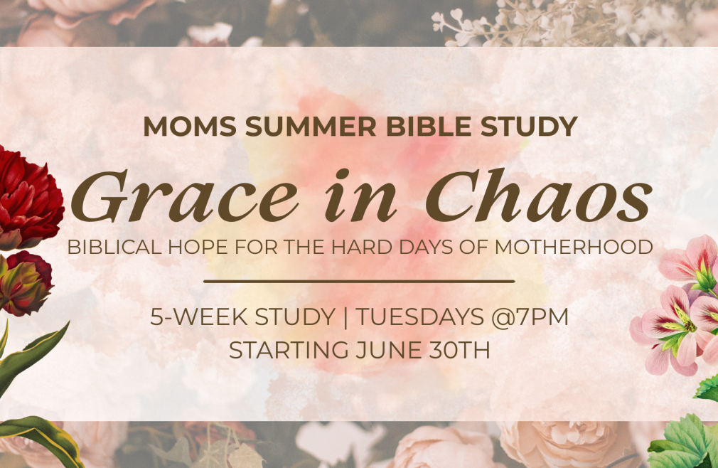 MOMs Summer Bible Study