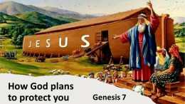 How God plans to protect you