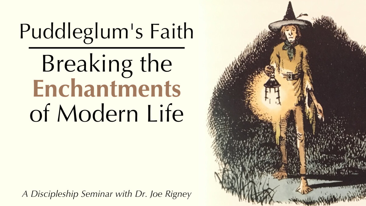 Discipleship Seminar: "Breaking the Enchantments of Modern Life"