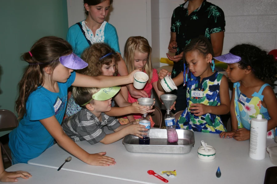 2015-06-23 VBS 462