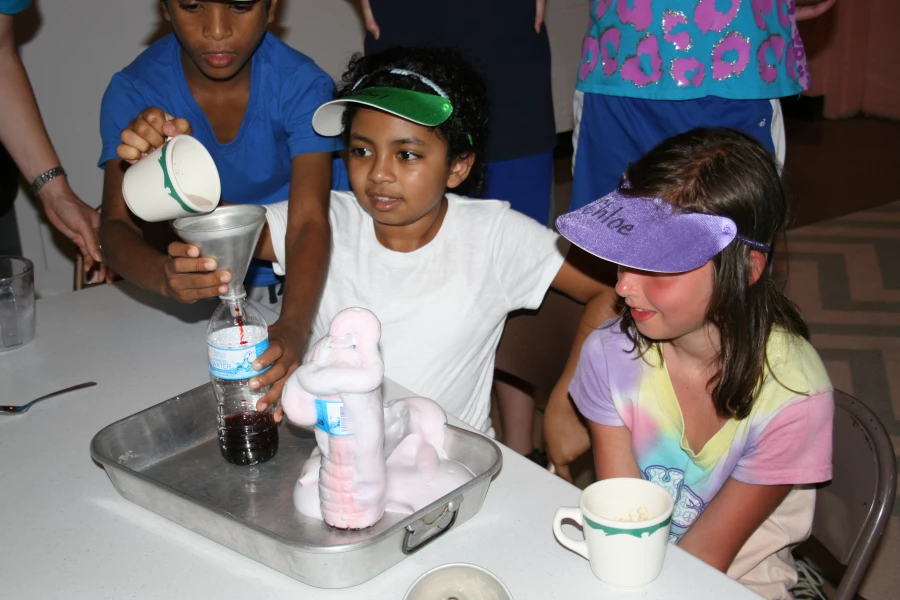 2015-06-23 VBS 421