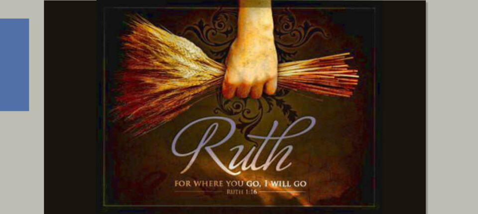 Ladies Precept Bible Study - Ruth