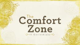 The Comfort Zone