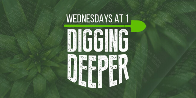Wednesdays at 1: Digging Deeper