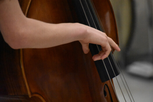 Summer Jazz Camp participants play a variety of instruments, from winds and brass to piano and bass.