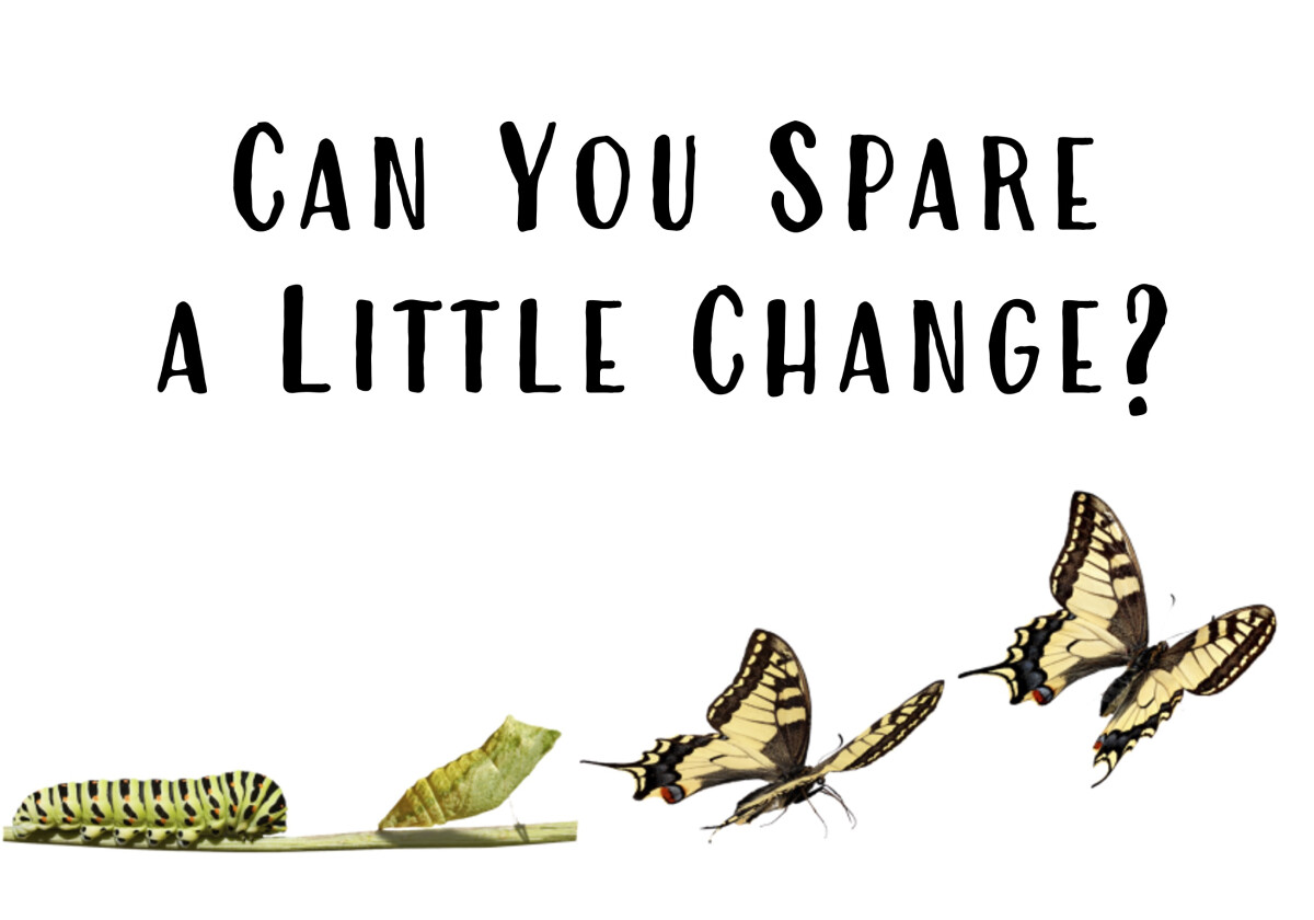 Can You Spare A Little Change?
