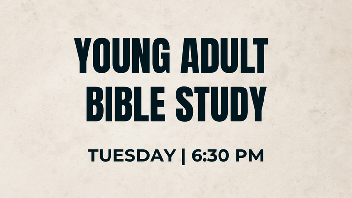 Young Adult Bible Studies
