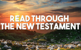 A Year Through the New Testament