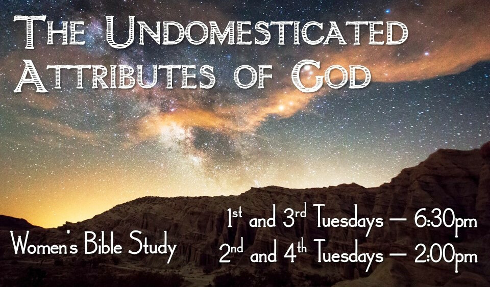 Ladies Bible Study 6:30