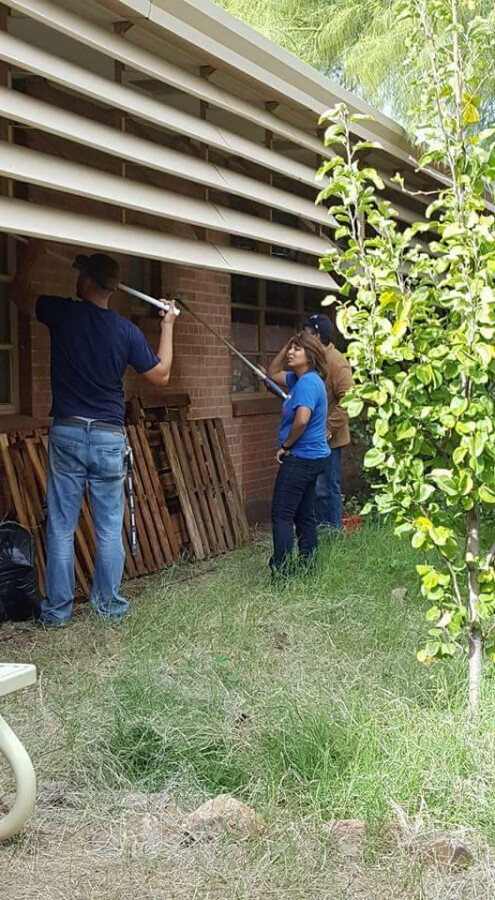 Cleaning windows 1