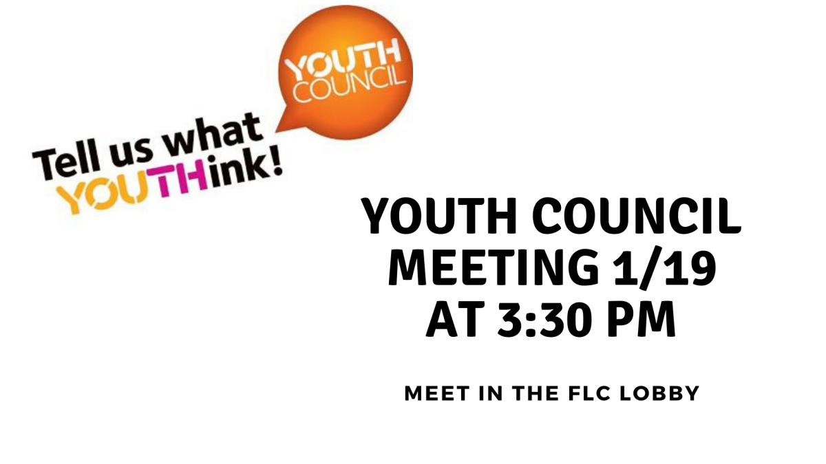 Youth Council 