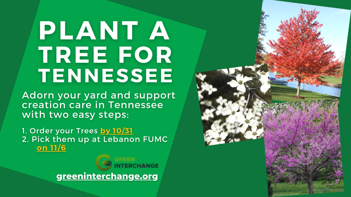 Plant a Tree for Tennessee
