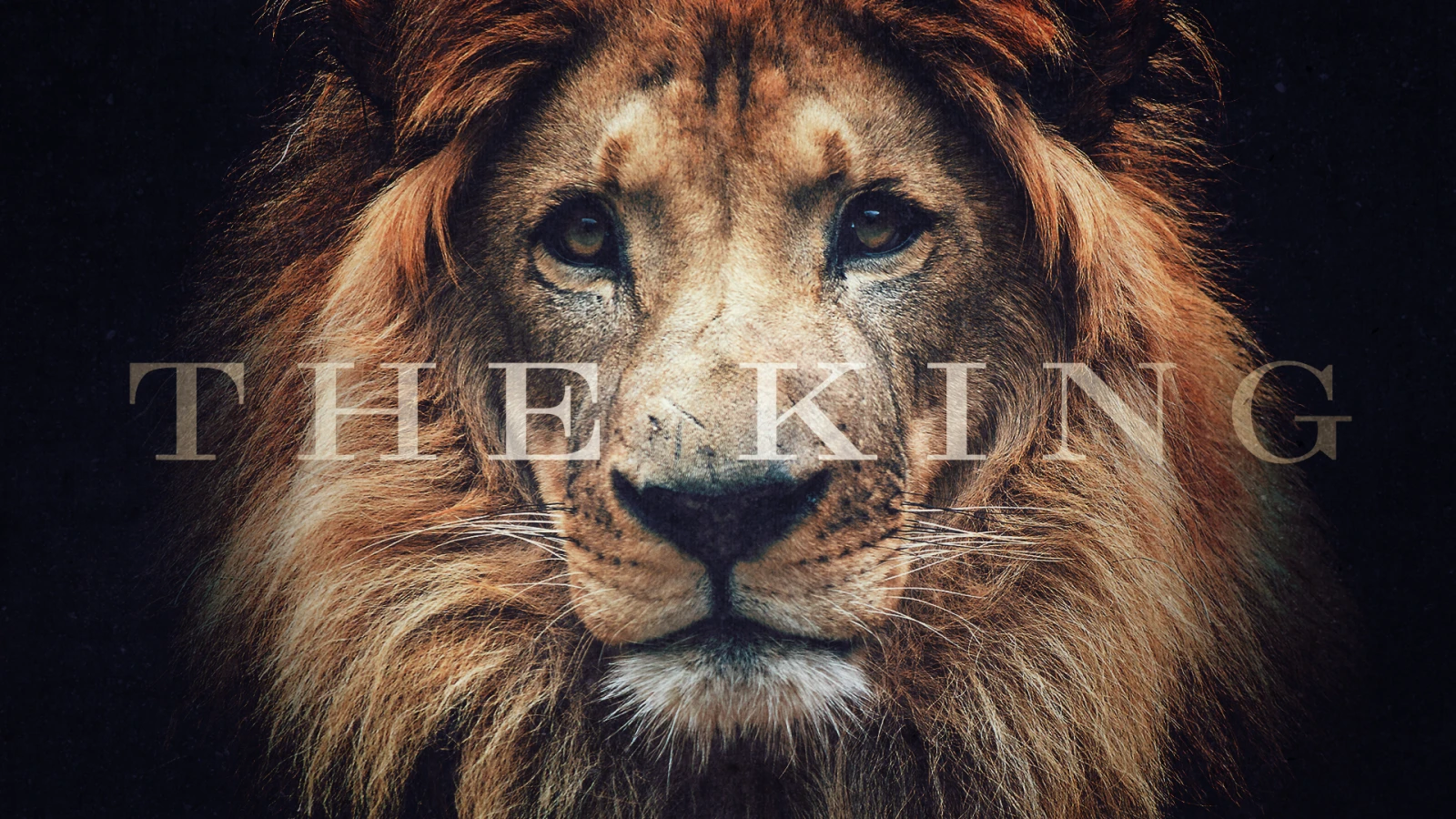 The King
