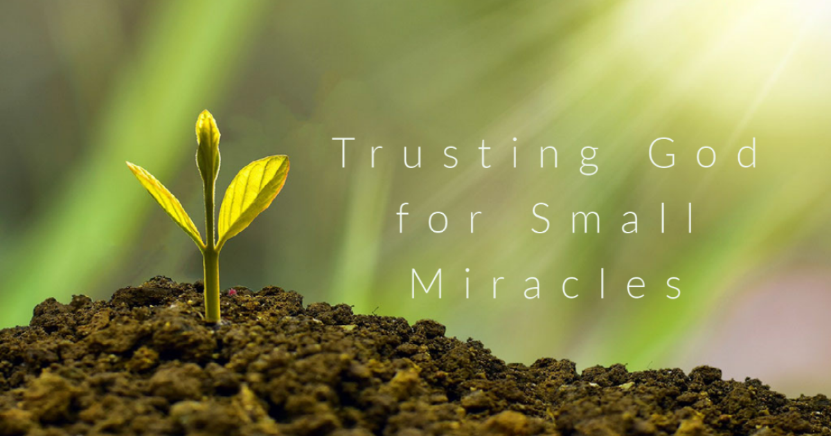 Trusting God for Small Miracles | Daily Devotionals | Fairhope UMC