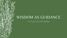 Wisdom as Guidance