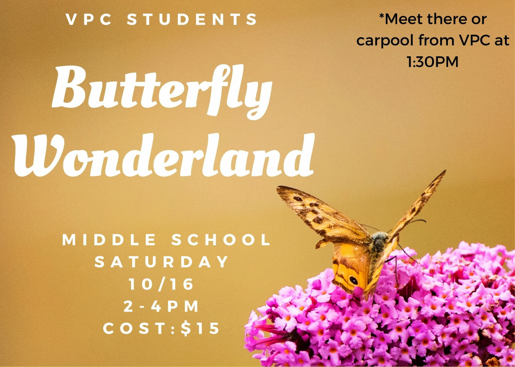 VPC Middle School: Butterfly Wonderland