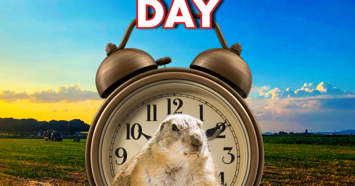 summary about groundhog day