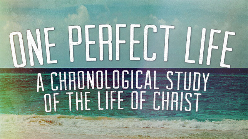 One Perfect Life Study