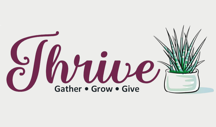 Thrive: Weekly Bible Study for Women of All Ages