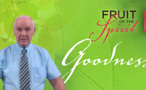 Fruit of the Spirit | Goodness