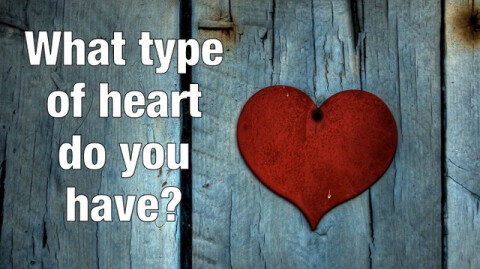 What Type of Heart Do You Have?