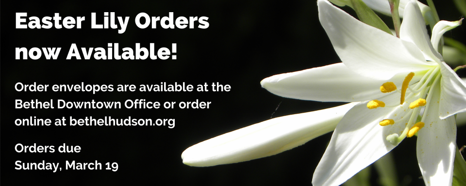 Easter Lily Orders Due