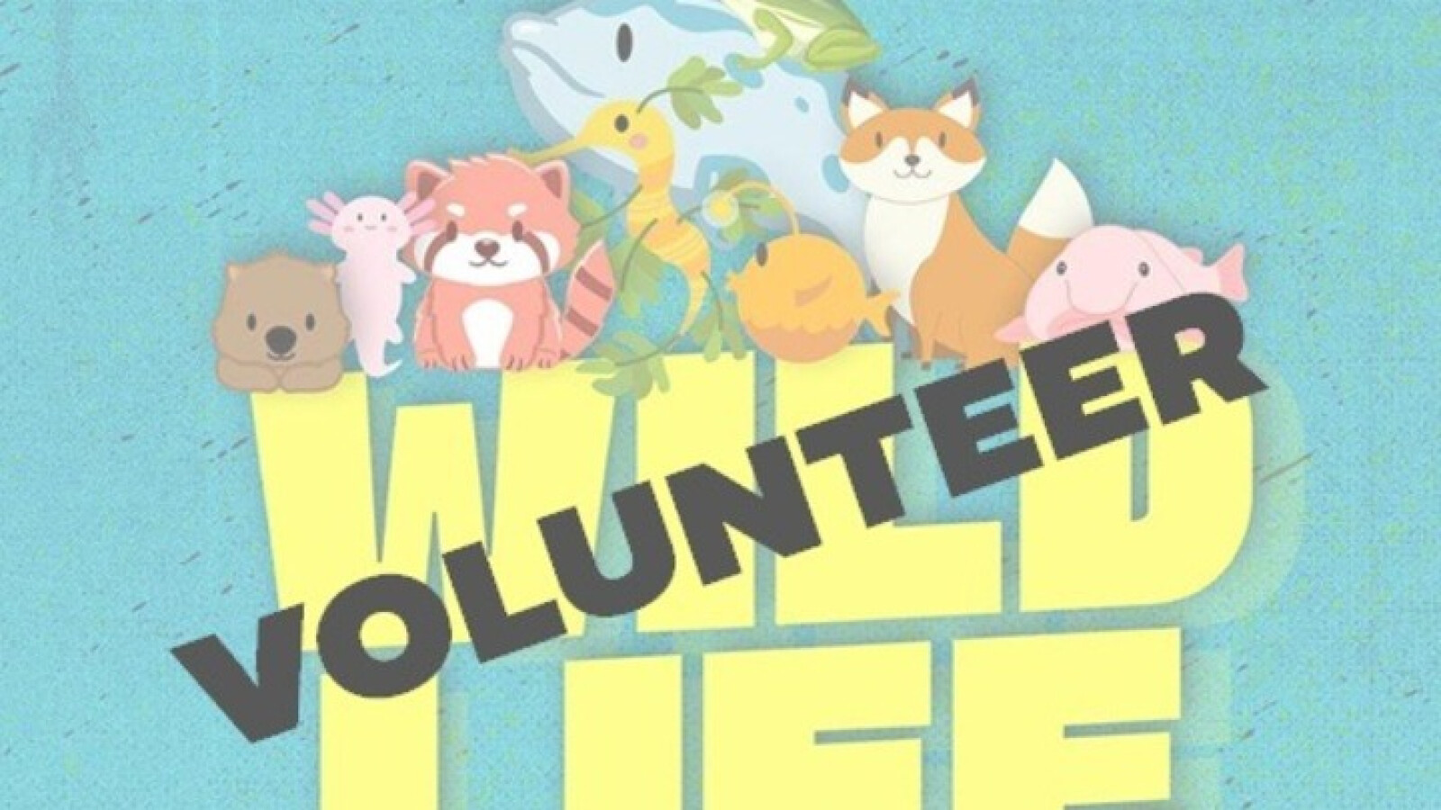 Volunteer for VBS 2026