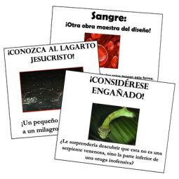 Tratados evangélicos