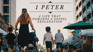 1 Peter 2:18-23 episode artwork