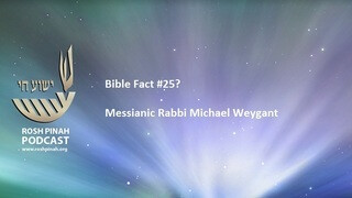 Bible Fact #25? episode artwork