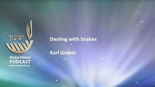 Dealing with Snakes episode artwork