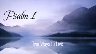 Two Ways to Live (Psalm 1) (Audio) episode artwork