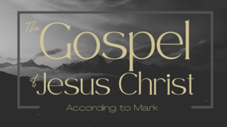 Jesus Stands Alone (Mark 14:43–72) (Video) episode artwork