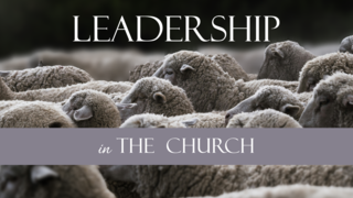Shepherd Leadership (Acts 20:17-38) (Video) episode artwork