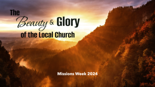 The Beauty and Glory of the Local Church (Ephesians 5:25-27, Revelation 21:9-11) (Video) episode artwork