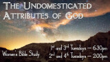 Ladies Bible Study 6:30