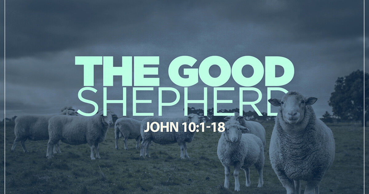 Good Shepherd | Sermons | FBC Plano