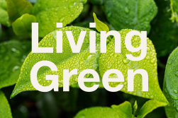 Living Green logo