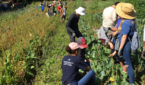 MSgleaning