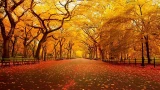 Take Your Faith Outside for a Breath of Fresh Prayer
