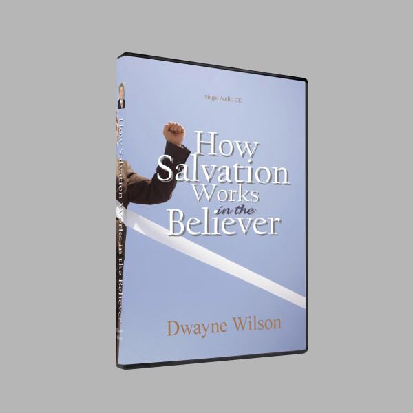 Series: How Salvation Works in the Believer