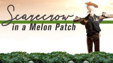 Scarecrow in a Melon Patch