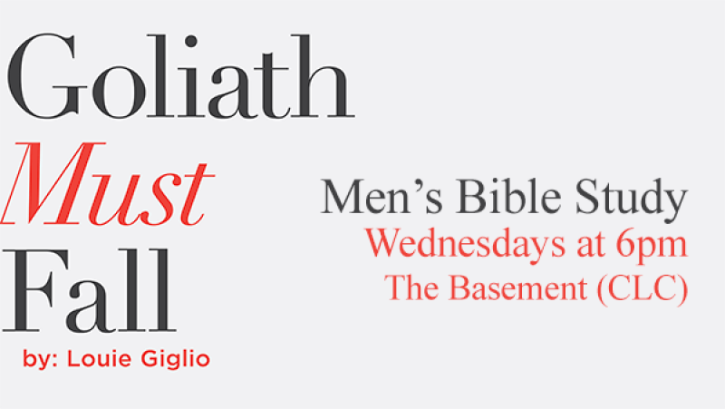 Goliath Must Fall Study