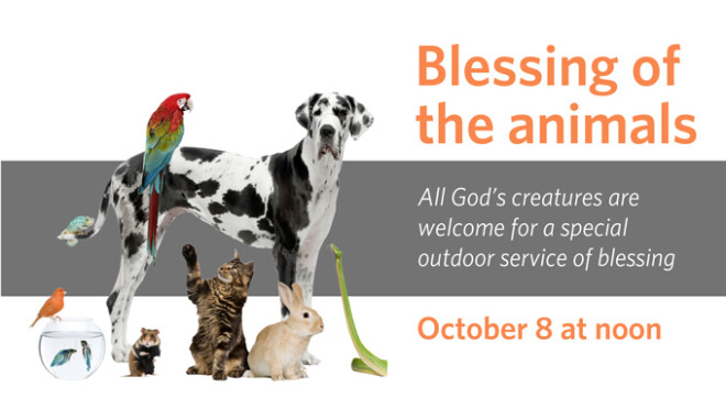 12pm Blessing of the Animals