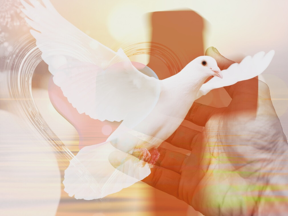 Understanding the Gifts of the Holy Spirit