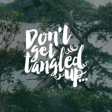 Don't Get Tangled Up