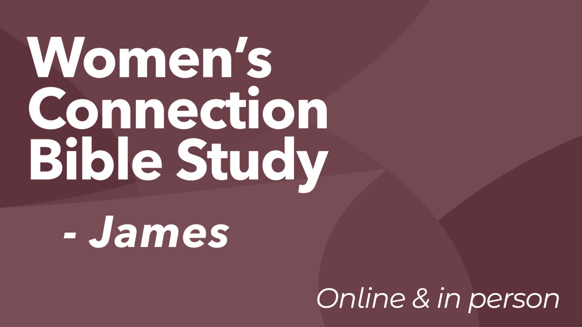 Women's Connection Bible Study (Thursday Mornings) 