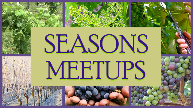 Seasons Meetups