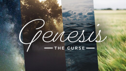 Jeff Wells | The Curse