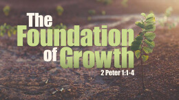 The Foundation of Growth